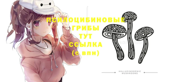 ECSTASY Нея