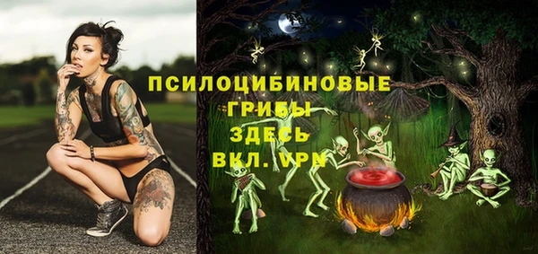 крисы Наволоки