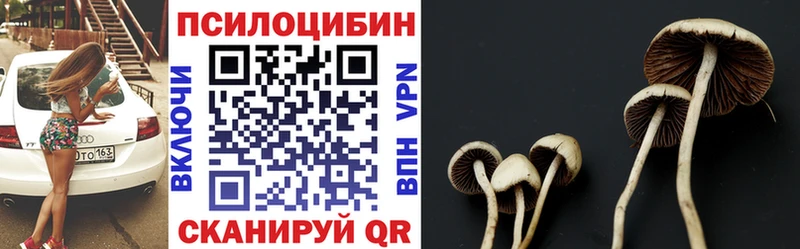 наркотики  Пласт  Галлюциногенные грибы прущие грибы 